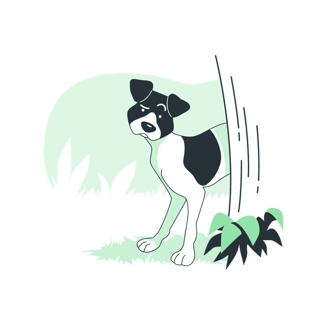 Your dog gets their walk